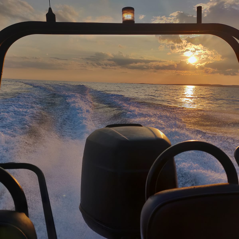 Picture taken from the back of the RIB showing a golden sunset and an epic effervescent wake trailing the boat and mingling with the golden hues